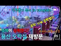 Lagu “주작 심하다”는 말, 진짜일까? 재방문 결과는… 논란의 용산 인형뽑기 재방문 리뷰!!! #인형뽑기 #오락실 #용산오락실 #짱오락실 #뽑기공략 #뽑기꿀팁 #clawmachine