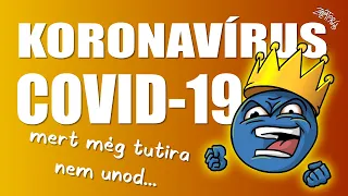 Koronavírus (COVID-19) összefoglaló 2020.02.21. (FIGYELEM! EGYES RÉSZEI MÁR ELAVULTAK!