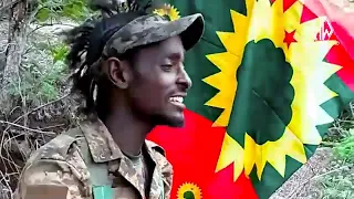 Wallee Jaal Dachee Gammachuu KILAASHIIKOO New Oromo Music 2023 
