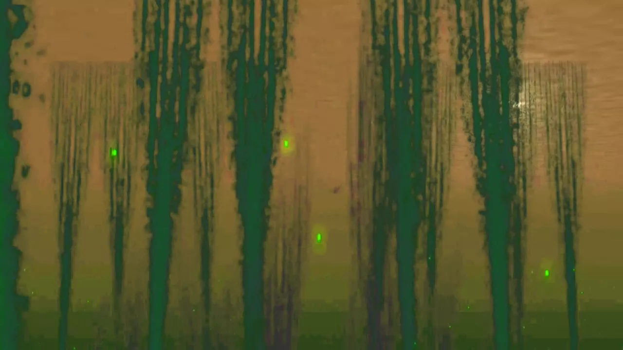 Dave Seaman - Virgo Ryzin (Joeski Remix)[Selador]