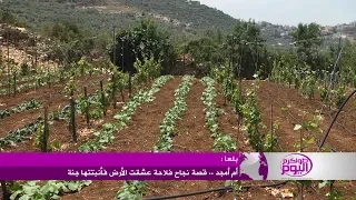 أم أمجد    قصة نجاح فلاحة عشقت الأرض فأنبتتها جنة دندنها