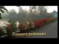 Download Lagu Suara dan suasana pedesaan pagi hari | Suara Kokok Ayam dan Kicauan Burung | suasana pagi pedesaan