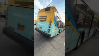                                دندنها