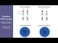 Chromosomal aberrations detected by FISH US version