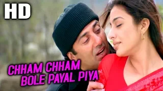 chham chham bole payal piya udit narayan kavita krishnamurthy maa tujhhe salaam songs tabu