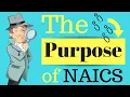 The Purpose of NAICS Class Codes