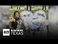 Grapevine woman crafts iconic Texas homecoming mums for over 30 years