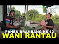 TAWA KEBAHAGIAAN KELUARGA WANI RANTAU MULAI MENGUNDUH HASIL BUMI DARI LAHAN TRANSMIGRASI KALIMANTAN