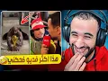 Lagu مغاربة امجنن شعب مكاينش معاهم الملل 🤣