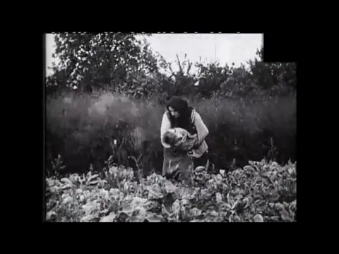 Un petit frère sous les choux (1906) New Brother (Pathé)