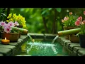 Download Lagu Relaxing Spa Music 💧 Tranquil Piano Music \u0026 Nature Ambience 💧