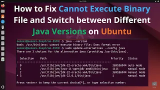 How to Fix Cannot Execute Binary File and Switch between Different Java Versions on Ubuntu