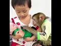 Monkey Kaka s Hilarious Mishap Destroying Grandma s Clothes