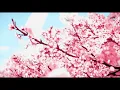 Bonny Light Horseman — Deep in Love (slowed + reverb)