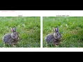 Removing rain from images deraining deep neural net pytorch python