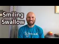 Smiling Swallow