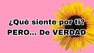 2/3 ¿Qué es lo que verdaderamente siente por mi?