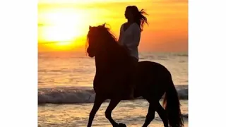 احبه كثيرا فايزة احمد دندنها
