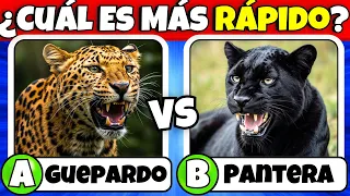 ¿Cuánto Sabes de ANIMALES?🤔 30 PREGUNTAS de ANIMALES 🐸🐷🦁Mr Quiz Trivia🤓