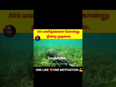 300 மனிதர்களை கொன்று தின்ற முதலை😮😮#shorts #shortstamil #tamilfacts #facts #viral