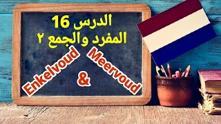 الدرس السادس عشر الجمع في اللغة الهولندية 