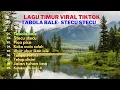 Lagu Lagu timur viral tiktok 2025  | tabola bale stecu stecu pica pica 