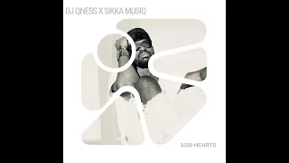 dj qness x sikka musiq 1000 hearts official lyric visualizer
