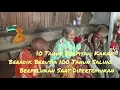 Download Lagu Umnauko Lo Es Umnanauko II kisah sedih dan berinspirasi