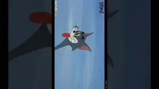 كرتون توم وجيرى حلقه كامله حلقه حب توم وجيرى بدون ايقاع 