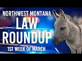 Mini Donkey Chase Mushroom Bust Naked Man Under Bridge Kalispell s Wildest Calls