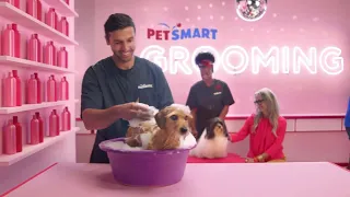 PetSmart - Anything for Pets Grooming
