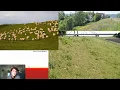 Download Lagu Live Online Alumni lezing: Bijen op bloemrijke dijken bij Nijmegen
