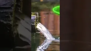 صوت خرير الماء موسيقى هدوء الصباح هدوء الطبيعة Kijana207 هدوء 