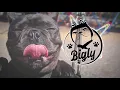 Felix Jaehn - Cool (ft. Gucci Mane & Marc E. Bassy)
