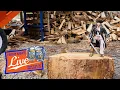 Friday Night Live - August 21st