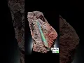 Download Lagu Proof that unicorns once roamed earth🤯😱 #shorts #reels #unicorn