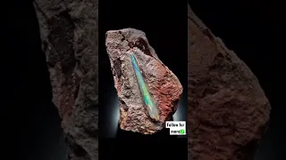 Proof that unicorns once roamed earth