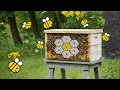 NYT Spelling Bee solver code
