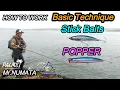 Download Lagu HOW TO work STICK BAITS \u0026 POPPER  Palms Mr. Numata Lecture  Salt Lure Fishing