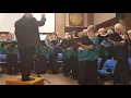 Download Lagu Cantaré Singers - You Raise Me Up