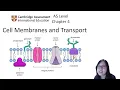 Chapter 4 1 - Cell Membrane Structure and Function Cambridge A-Level 9700 Biology