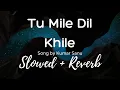 Tu Mile Dil Khile { Slowed + Reverb } || Kumar Sanu || Criminal 🎧🎧