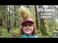 We Heard a Loud Crash Family Hike on the Pratt River Trail Middle Fork Snoqualmie River WA