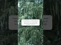 Download Lagu how foolish🙂.                                     #deep #quotes #shorts