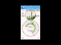 How to view your daily electricty usage with an energy bridge