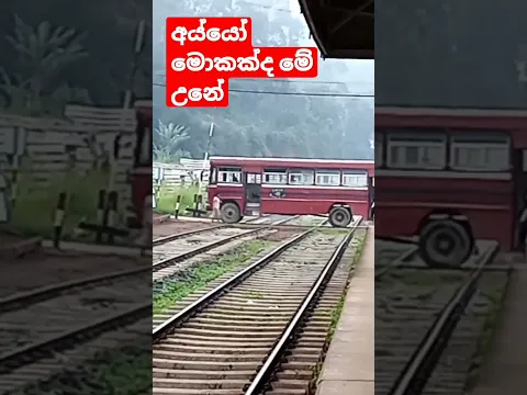 Download MP3 2.7 million views /bus stoped 😭😭😭on railway crossing  unexpectedly|  Heeloya Srilanka|trainSL|BUS🚒🙏