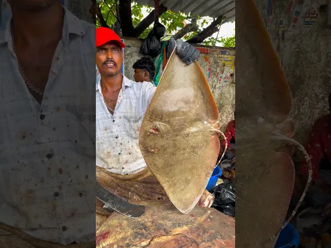 Kasimedu stingray fish cutting video #kasimeduselvam #shorts #bigfish #youtube #fishcuttingworld