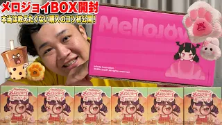 【大流行】入手困難の「メロジョイミニランドBOX開封!」本当は教えたくない購入のコツを初公開します!