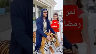 Mohamed Ramadan Ana Ra2esha محمد رمضان أنا رئيسها محمد رمضان 