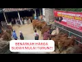 Download Lagu UPDATE HARGA SAPI TERBARU‼️GROSIR SAPI BERGARANSI \u0026 TANPA CALO‼️PUSAT NYA SAPI SUPER ADA DISINI
